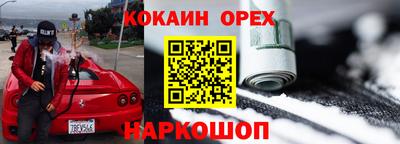 стафф Кандалакша
