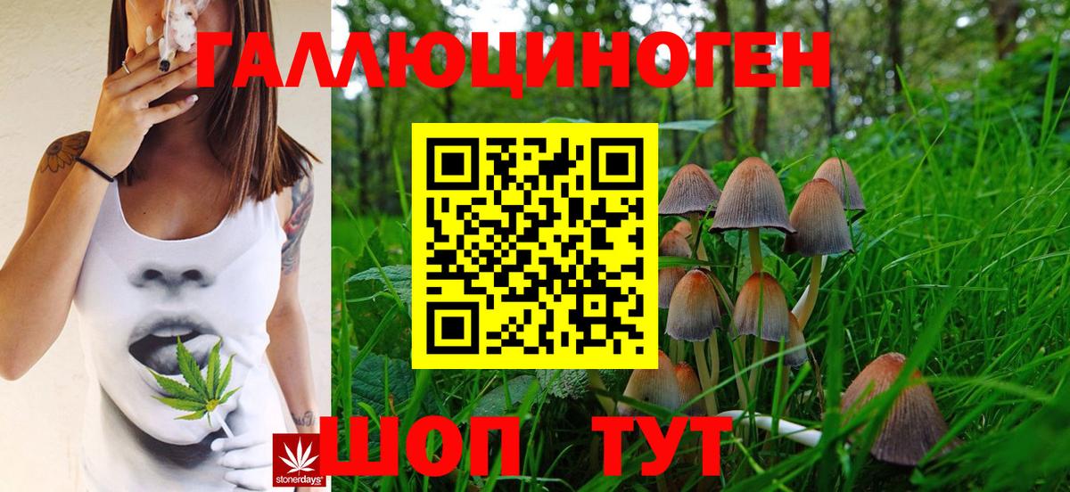 Галлюциногенные грибы мицелий Кумертау