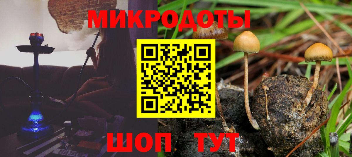 Галлюциногенные грибы Psilocybine cubensis  Вход с VPN  Кумертау 